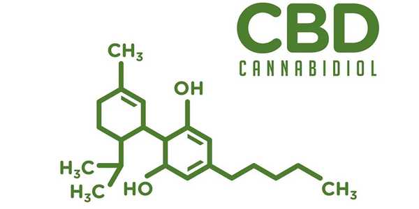 The Science Behind The Popularity Of CBD In Health And Wellness